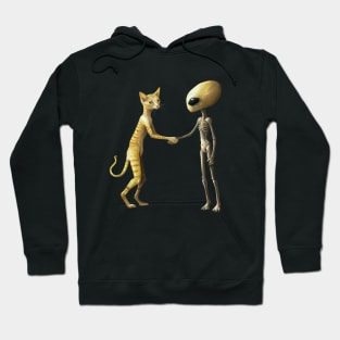 Cat and Alien Are Friends! Hoodie